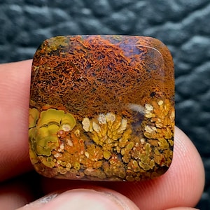 Könnte beinhalten: Ein quadratisch geschliffener Edelstein mit einem einzigartigen Muster. Die obere Hälfte zeigt ein Netzwerk aus rotbraunen Linien, während die untere Hälfte gelbe und weiße blütenartige Formationen aufweist. Der Stein hat eine polierte, glänzende Oberfläche.