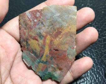 マルチカラーサンゴ化石スラブ 71x51x4 mm – インドネシア産の未研磨