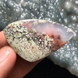 Könnte beinhalten: Ein polierter Achat-Cabochon mit einem einzigartigen dendritischen Muster. Der Stein zeigt eine Mischung aus weißen, grauen, braunen und rosafarbenen Farben. Das dendritische Muster ähnelt Moos oder Flechten.