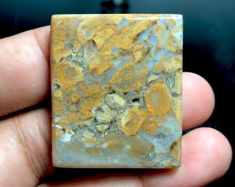 May include: A rectangular gemstone with a unique pattern of tan, brown, and grey hues. The stone has a polished surface, revealing a natural, organic design. The colours blend together, creating a marbled effect. The gemstone is held in a hand.