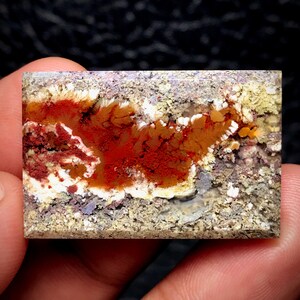 Scenic Moss Agate With Plume Cabochon 21x33x4 mm