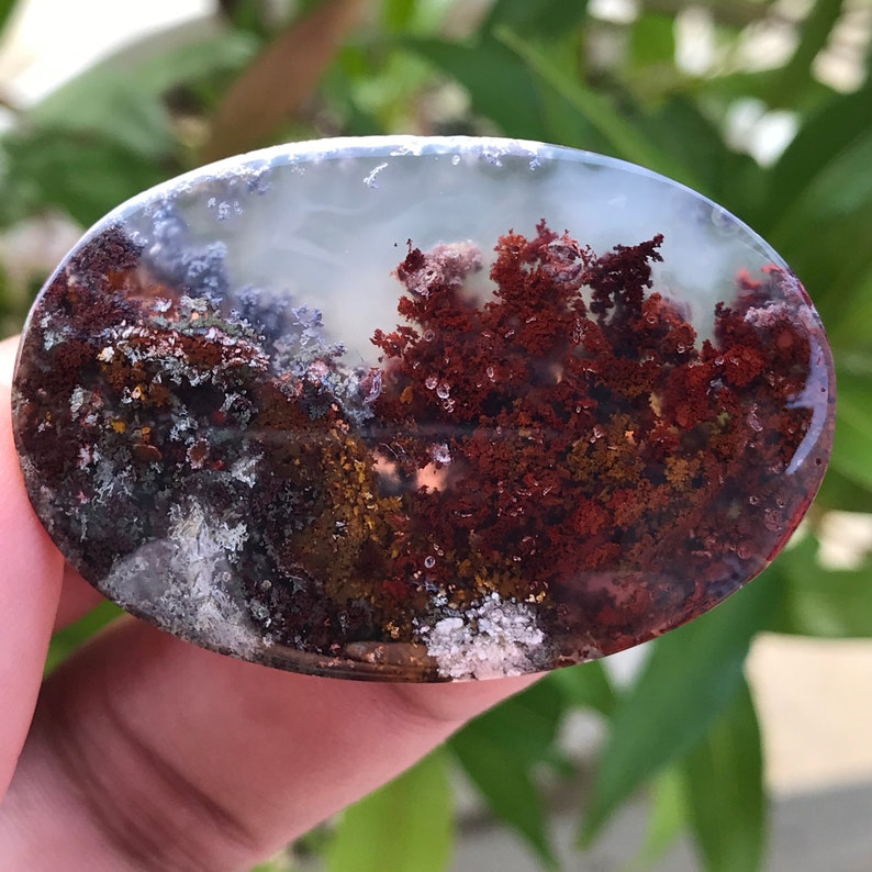49x32x6mm Scenic Moss Agate Cabochon