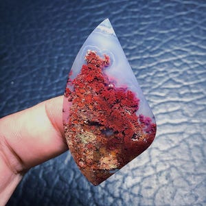 May include: A teardrop-shaped agate cabochon with a white, red, and brown dendritic pattern. The agate has a translucent appearance and is a natural stone.