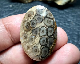May include: A close-up of a polished oval-shaped stone with a unique pattern of brown, grey, and white circles. The stone has a smooth, glossy finish.