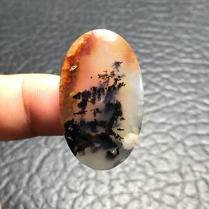 May include: Oval shaped agate cabochon with dendritic patterns in black, white, and brown. The stone is translucent and has a smooth, polished surface.