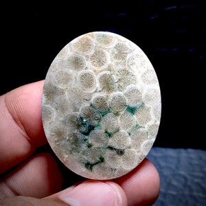 Unique Coral Fossil Agate Cabochon 32x39x7 mm, Gifts For Her, Personalized Gifts, Birthday gifts, Engagement Gifts, Halloween Gifts