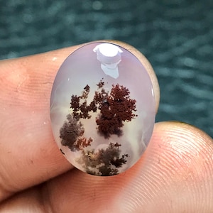 Puede incluir: Un cabujón de ágata blanca con inclusiones dendríticas marrones. La ágata tiene forma ovalada y una superficie lisa y pulida.