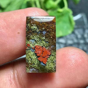 May include: A rectangular gemstone with a polished surface. The stone features a mix of colors, including brown, green, and red. The red color is concentrated in a central, textured area, while the green and brown hues create a moss-like appearance.