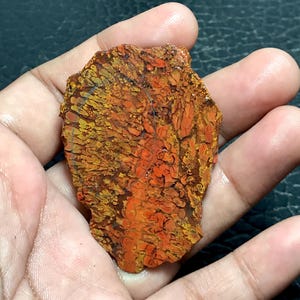 Op de afbeelding: Een stuk ruwe, gepolijste steen met een levendig patroon van oranje, gele en bruine tinten. Het oppervlak van de steen vertoont een complex, getextureerd ontwerp, dat natuurlijke geologische formaties laat zien. De steen wordt in een hand gehouden, wat de grootte en vorm benadrukt.