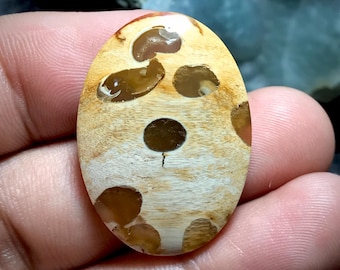 May include: Oval-shaped gemstone with a light brown and cream-colored pattern. The stone features several dark brown, circular inclusions and a unique wood-grain texture. The gemstone is held in a hand.