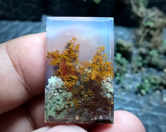 Può includere: Un cabochon di agata traslucido blu chiaro con un motivo dendritico marrone, arancione e bianco. L'agata ha un aspetto naturale e organico.