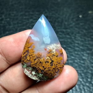 May include: A teardrop-shaped agate cabochon with a white, gray, and brown dendritic pattern. The agate has a translucent appearance and features a variety of colors and textures.