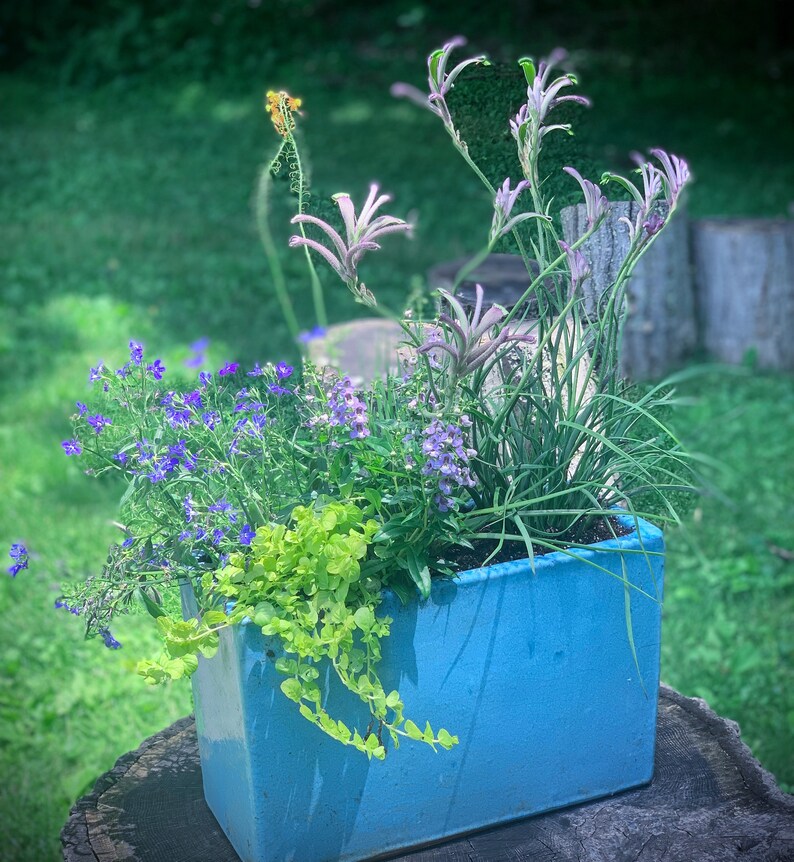 Custom Outdoor Planters Etsy