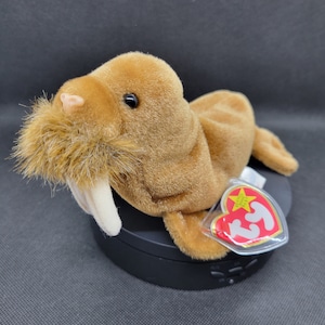 May include: A brown plush walrus with a white tusk and a brown fuzzy mustache. The walrus is lying on its side with its head turned to the left. The walrus has a red Ty Beanie Baby tag attached to its back.