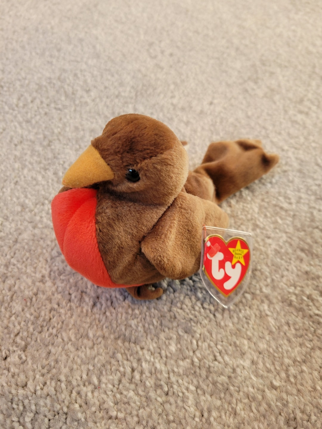 Authentic TY Beanie Baby Early the Robin Bird Lover, Bird Watcher