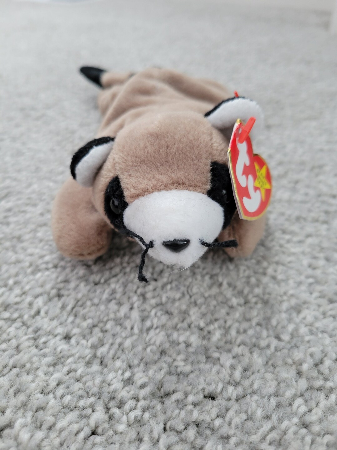 Authentic TY Beanie Baby Ringo the Raccoon, Trash Panda, Forest