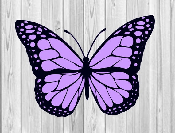 Download Custom Butterfly And Background Svg File Only Etsy