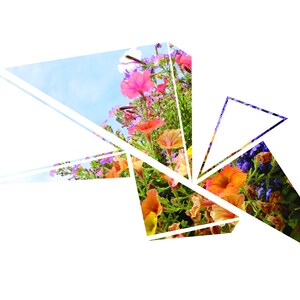 Wall Art - Geometric Flowers | Digital Print | Wall Decor