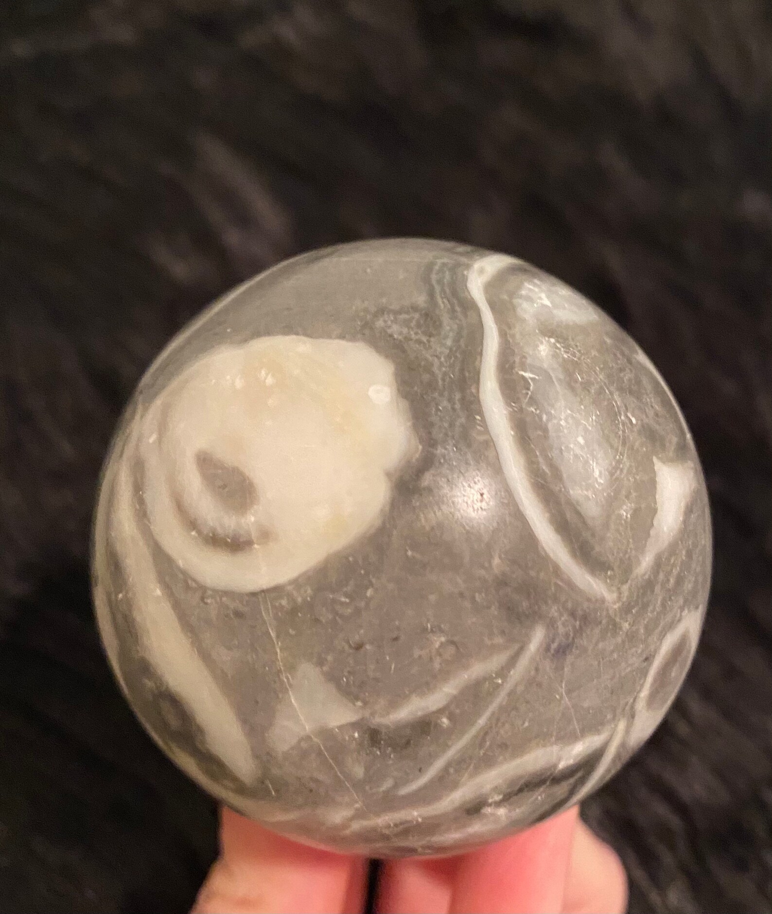 Angel Wing Jasper Sphere Thousand Eye Sphere Clam Shell Sphere Etsy