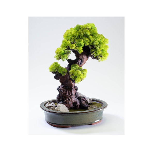 Artificially created bonsai made of natural materials. Unique work of art as decoration for office, art practice or yoga studio