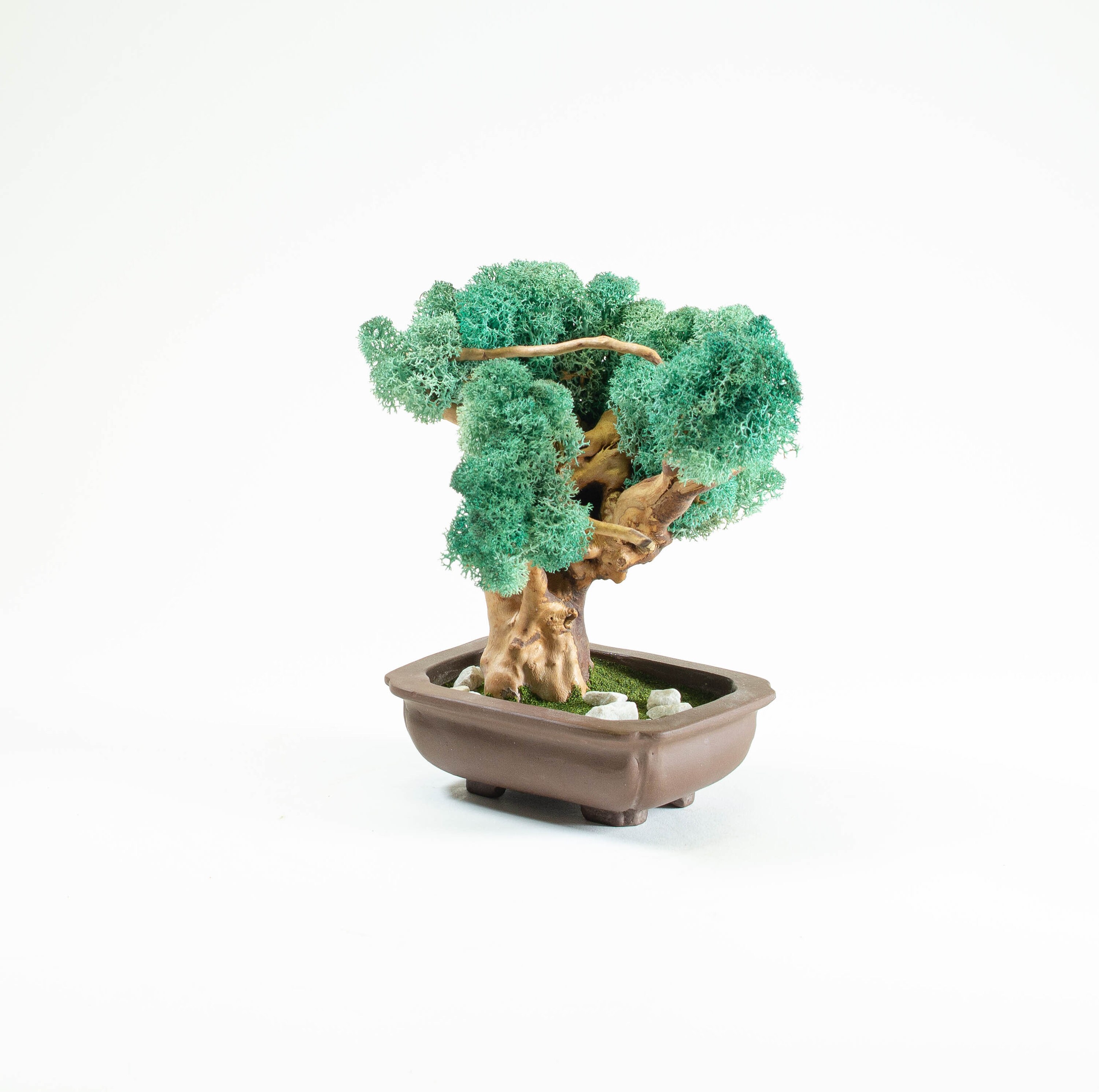 Mine (EP)  Bonsai Trees