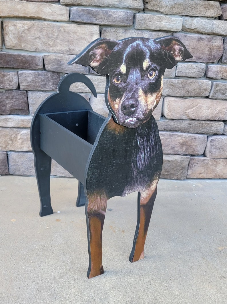 Customized Indoor Wooden Pet Planter Box Dog Planter Box Cat Etsy