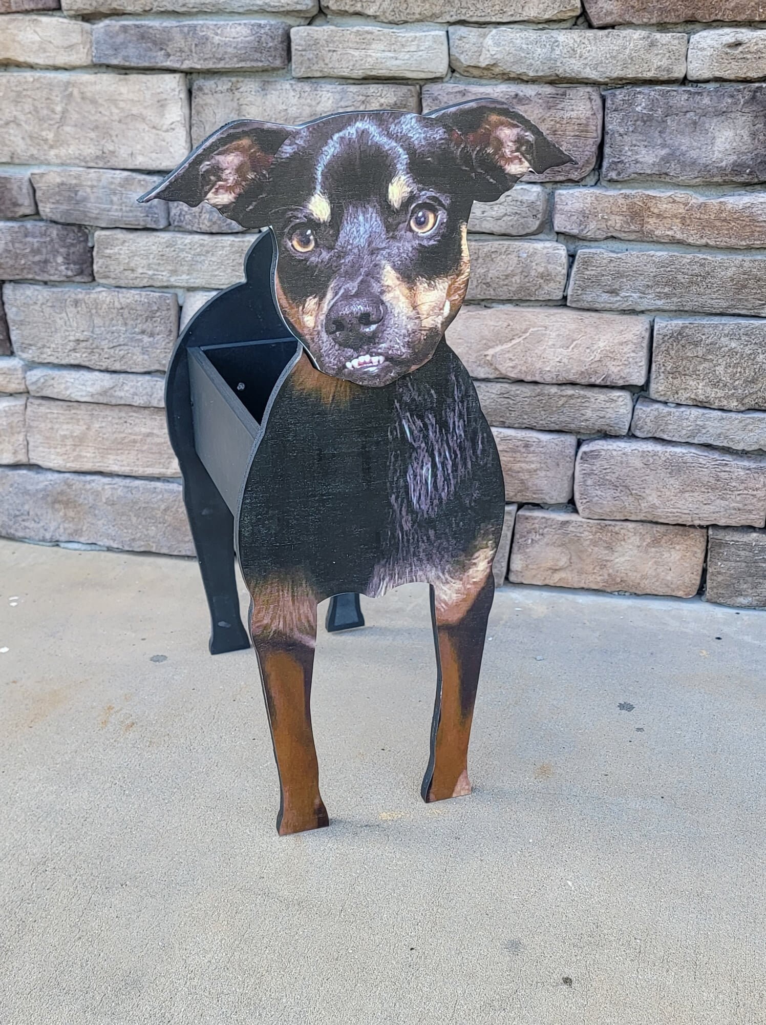 Customized Indoor Wooden Pet Planter Box Dog Planter Box Cat Etsy