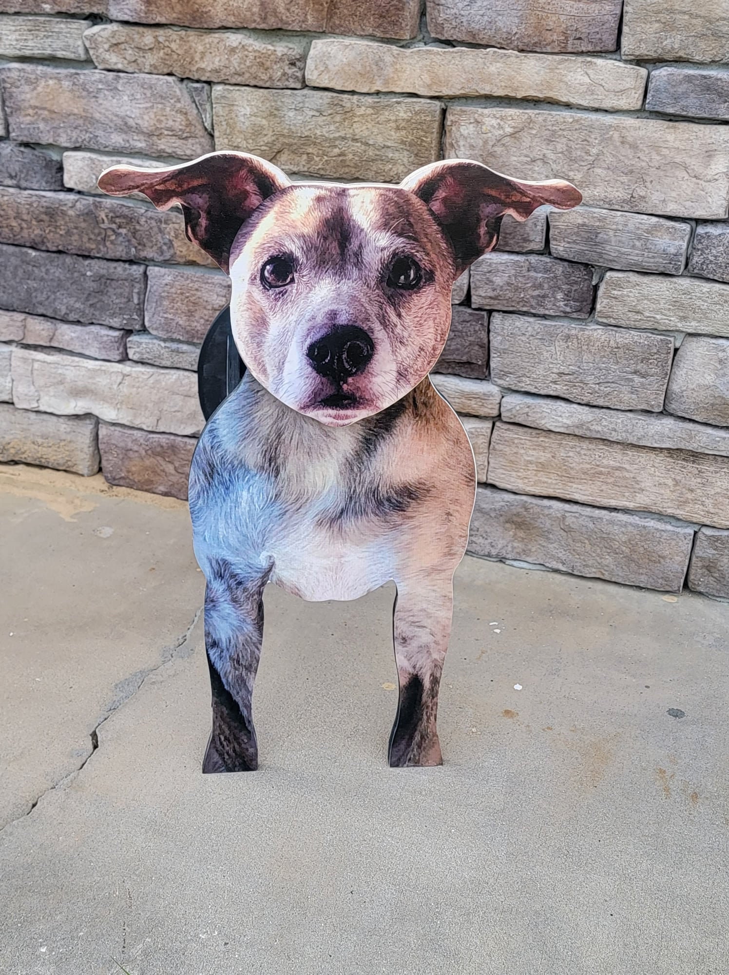 Customized Indoor Wooden Pet Planter Box Dog Planter Box Cat Etsy