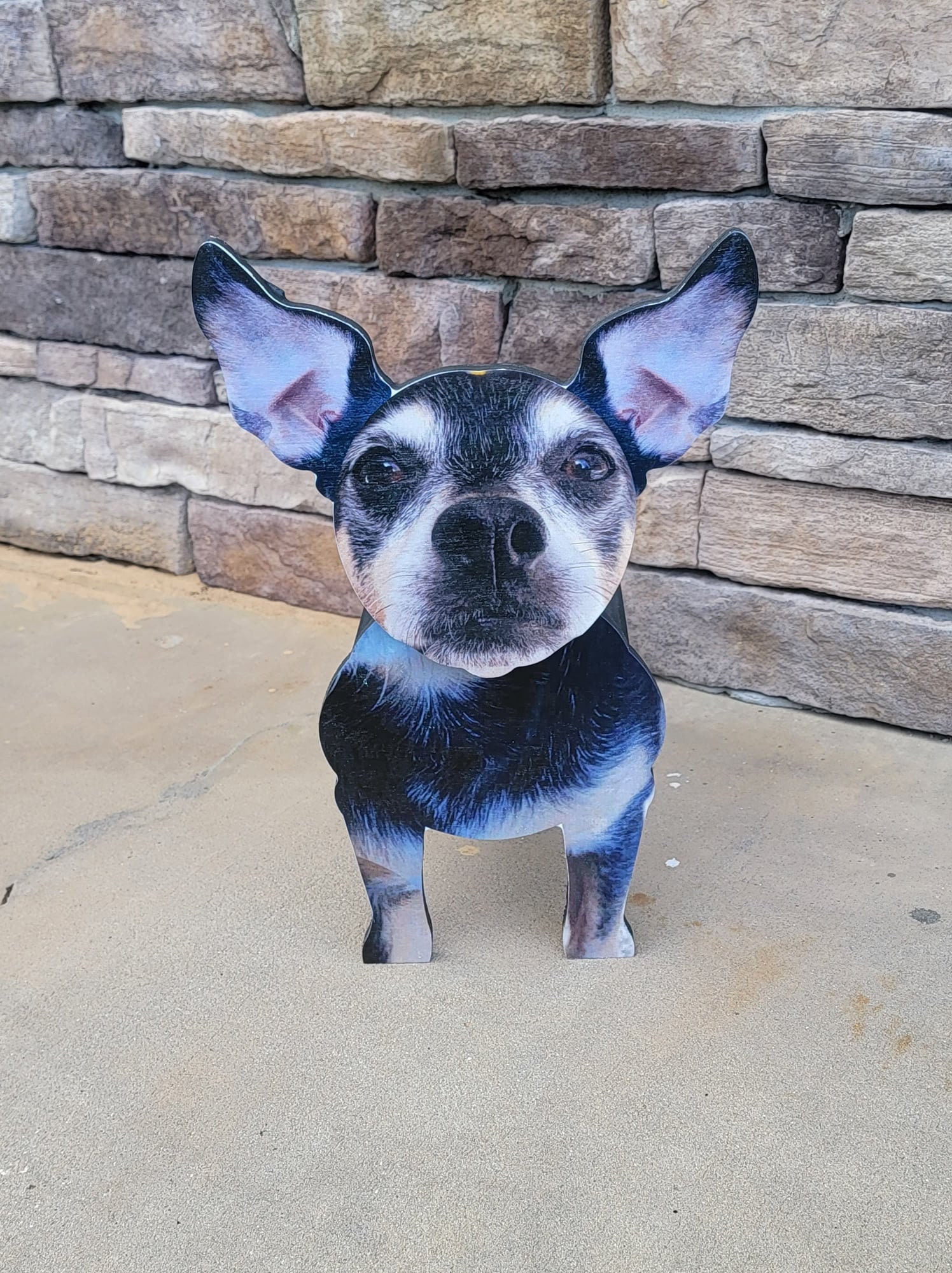 Customized Indoor Wooden Pet Planter Box Dog Planter Box Cat Etsy