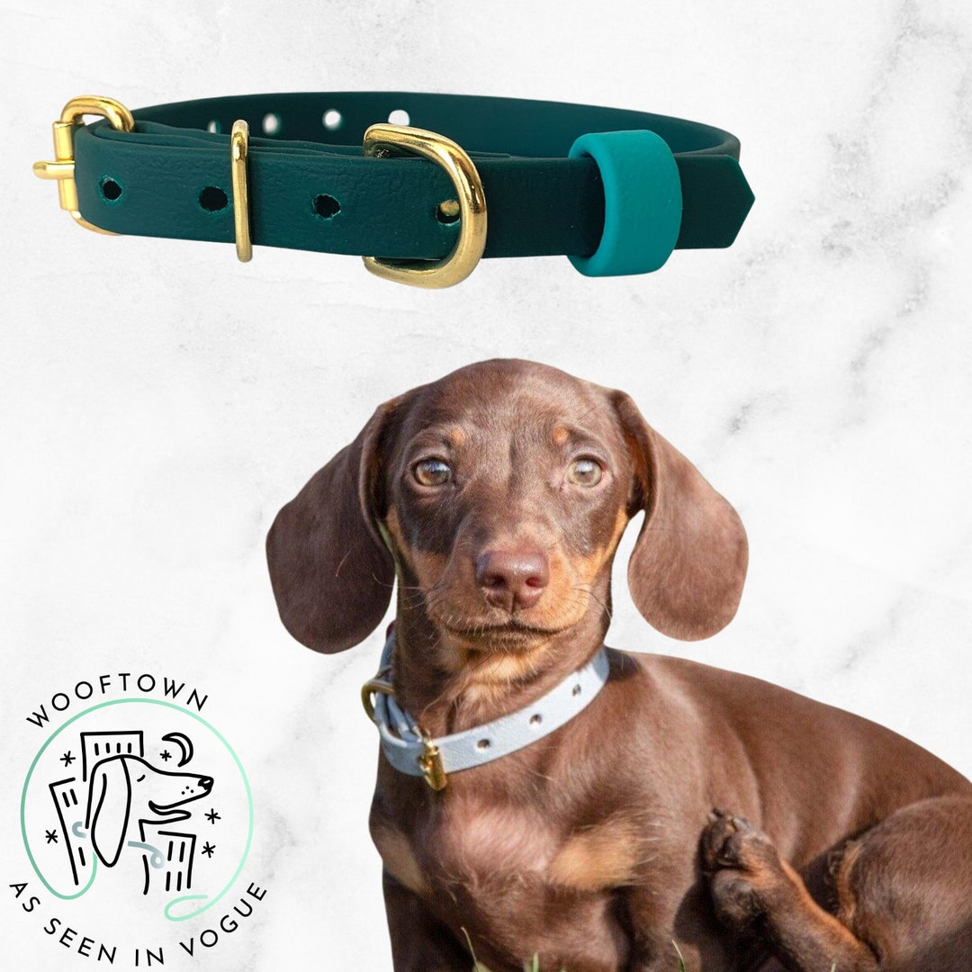 Puppy Collar Puppy Training Collar 20 Colours Biothane Etsy