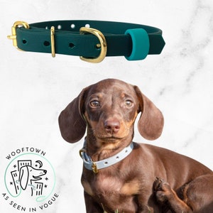 Puppy Collar | Puppy Training Collar | 20+ Colours | BioThane Vegan Leather
