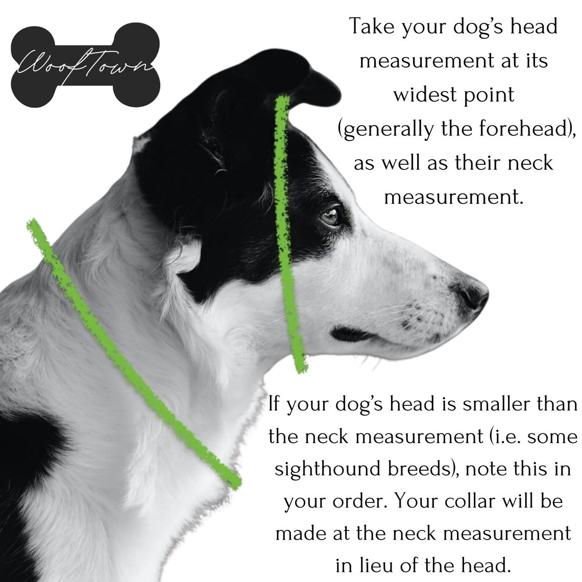 ID Tag Dog House Collar 20 Colours Biothane Vegan Leather Etsy UK