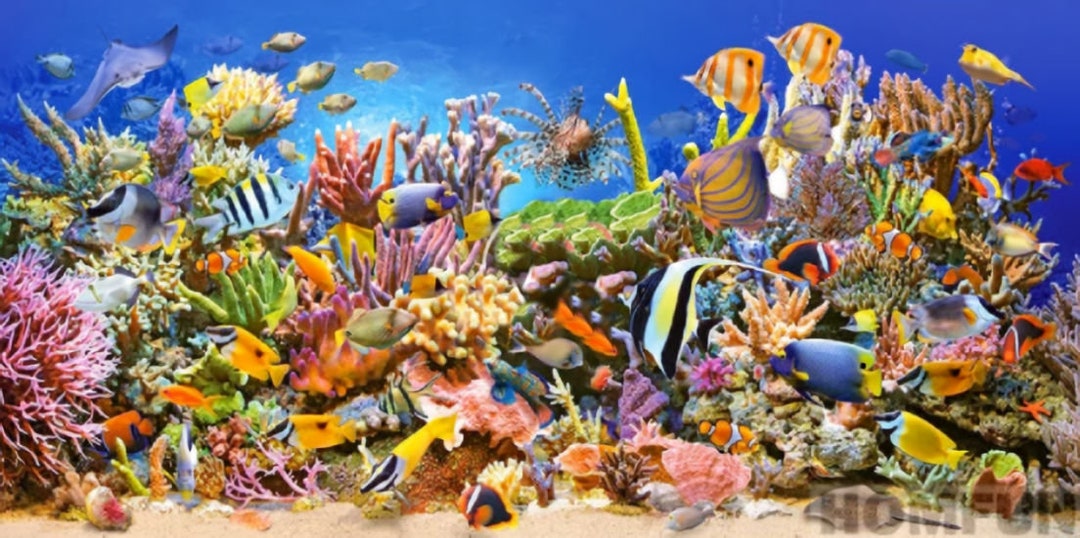 Coral Reef DIY 5D Diamond Painting Kit Full Square and Round - Etsy