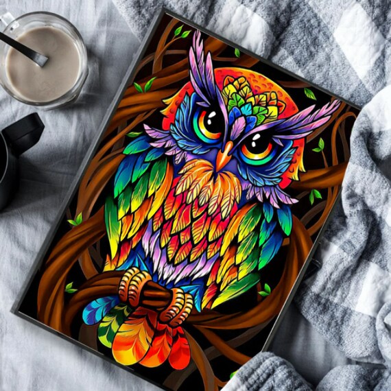 DIY Large Colorful Owl (60x80cm) 5D Diamond Dot Painting Kit with Square  Resin