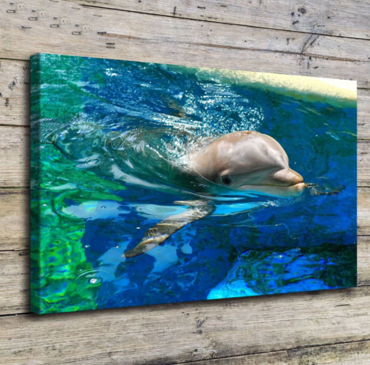 There's a Dolphin in Your Livingroom DIY 5D Diamond - Etsy