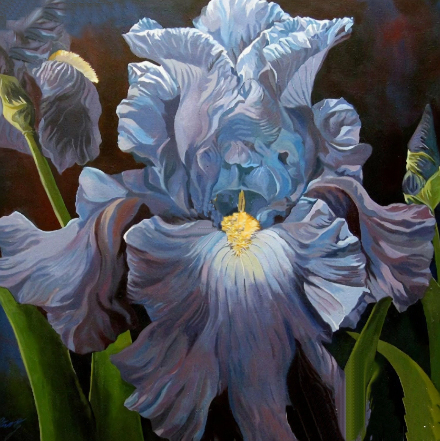 Iris DIY 5D Diamond Painting Kit Full Square and Round Diamond - Etsy