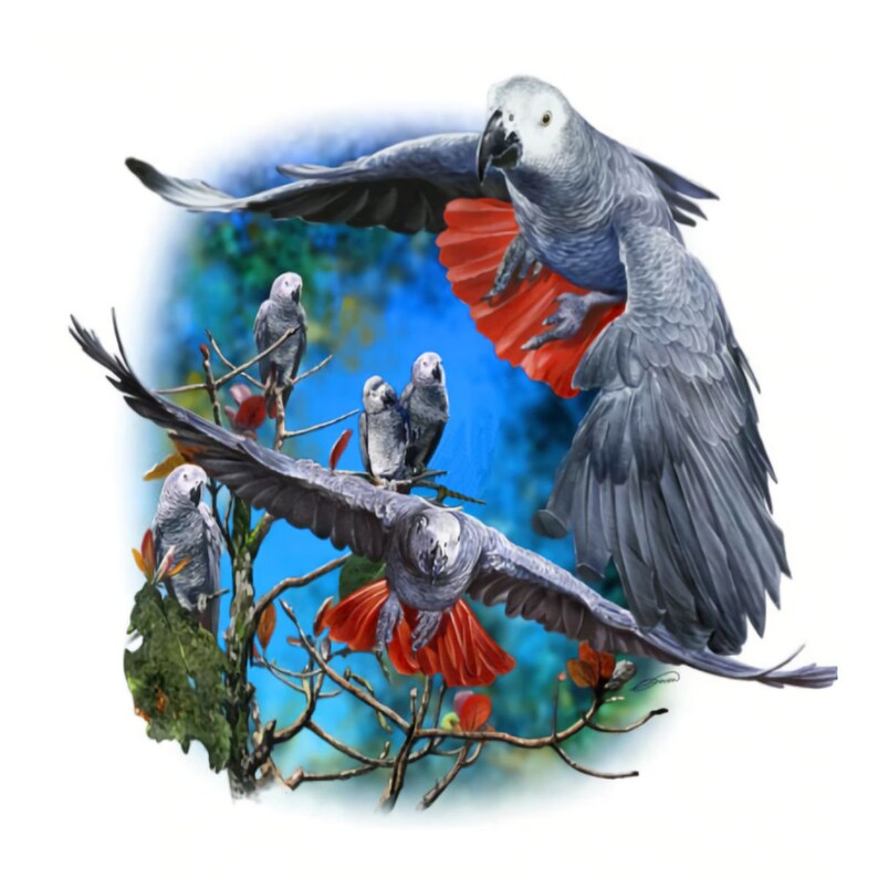 GREY in FLIGHT DIY 5D Diamond Painting Kit Full Square Round Drill