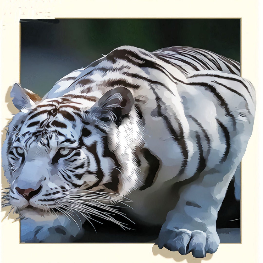 Huacan Diamond Painting Kits - DIY 5D Cat Tiger Full Square Drill