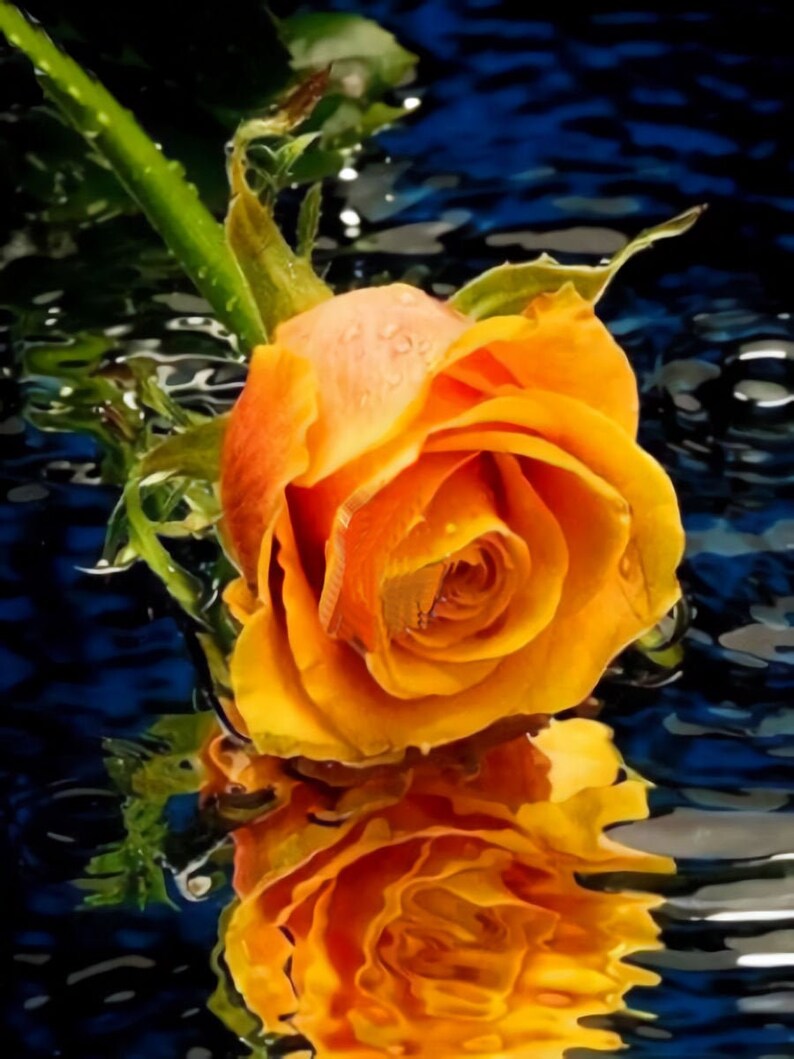 a Single GOLDEN ROSE DIY 5D Diamond Painting Kit Full Square Round Drill