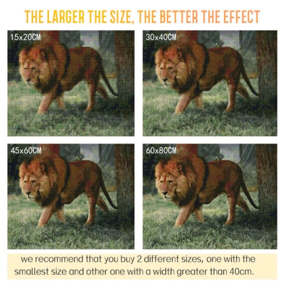 African Lion Vs Mountain Lion