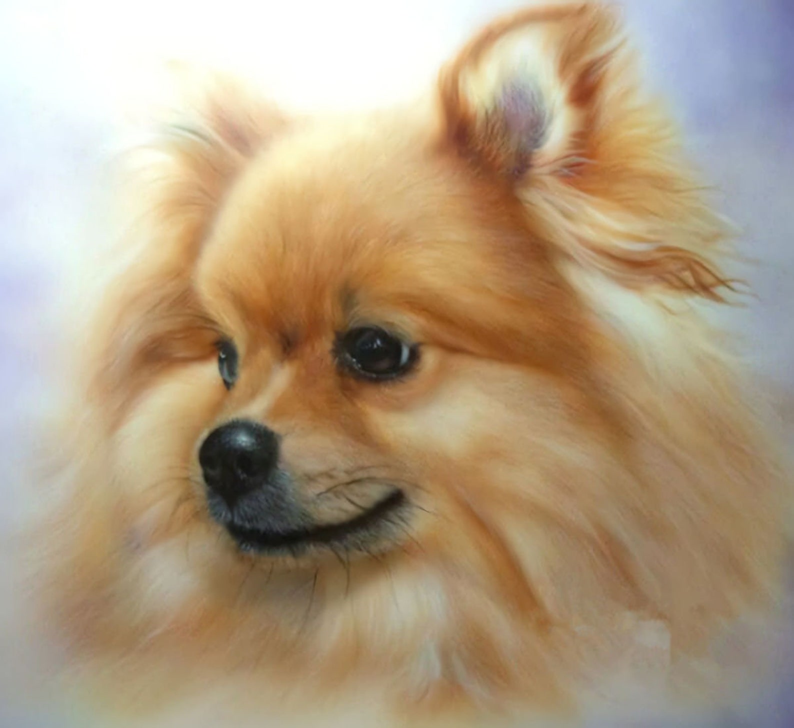 POMERANIAN DOG DIY 5D Diamond Painting Kit Full Square or | Etsy
