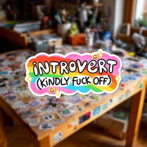 Introvert vänligt knulla klistermärke | Rolig regnbågsdekal | Sarkastisk gåva