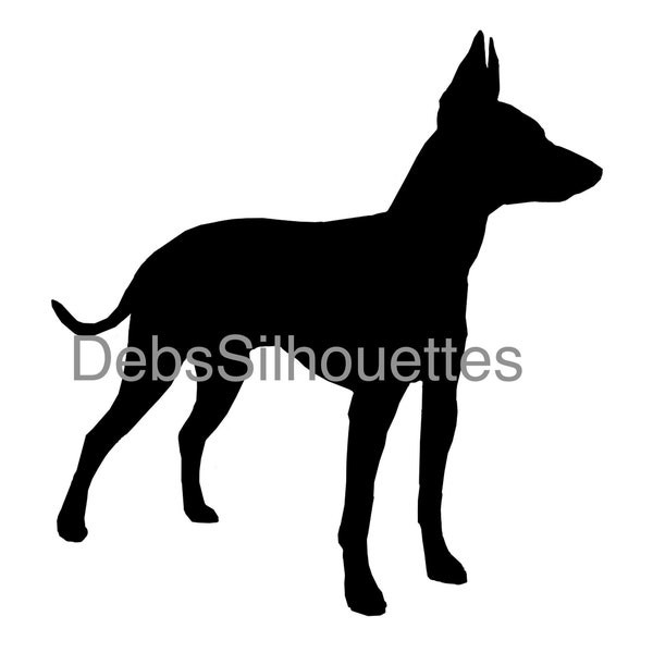 Anglais Toy Terrier Silhouette SVG PNG JPG pdf