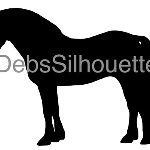 Debout poney gallois Silhouette téléchargement numérique SVG PNG JPG pdf