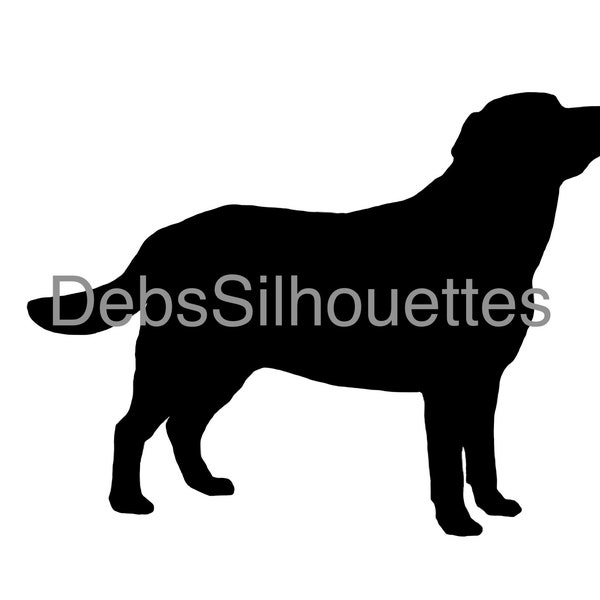 Labrador Silhouette SVG PNG JPG pdf