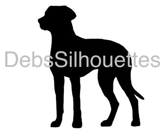 Rhodesian Ridgeback Silhouette SVG PNG JPG pdf