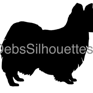 Papillon silhouet SVG PNG JPG pdf