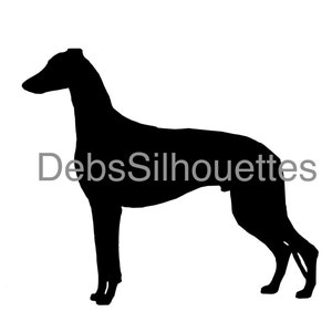 Levriero Silhouette SVG PNG JPG pdf Segugio grigio