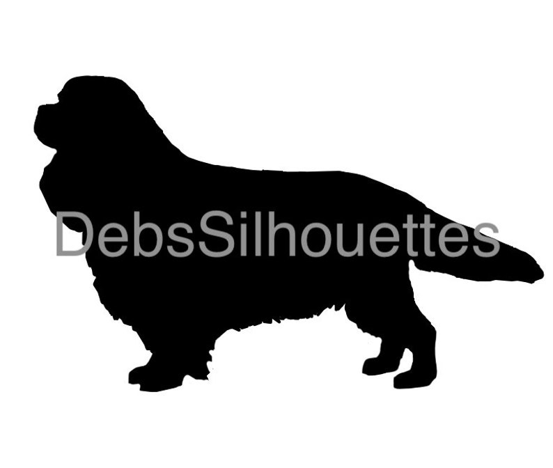Download Cavalier King Charles Spaniel Silhouette Svg Png Jpg Pdf Clip Art Art Collectibles Delage Com Br