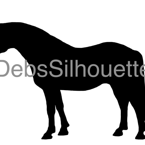 Standing Connemara Pony Silhouette Digital Download SVG PNG JPG pdf